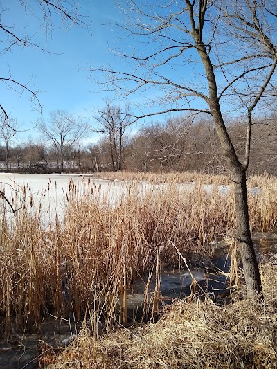 Oak Shores Park