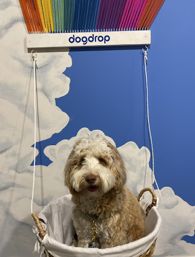 Dogdrop