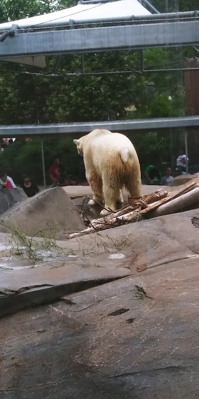 Saint Louis Zoo North Parking Lot