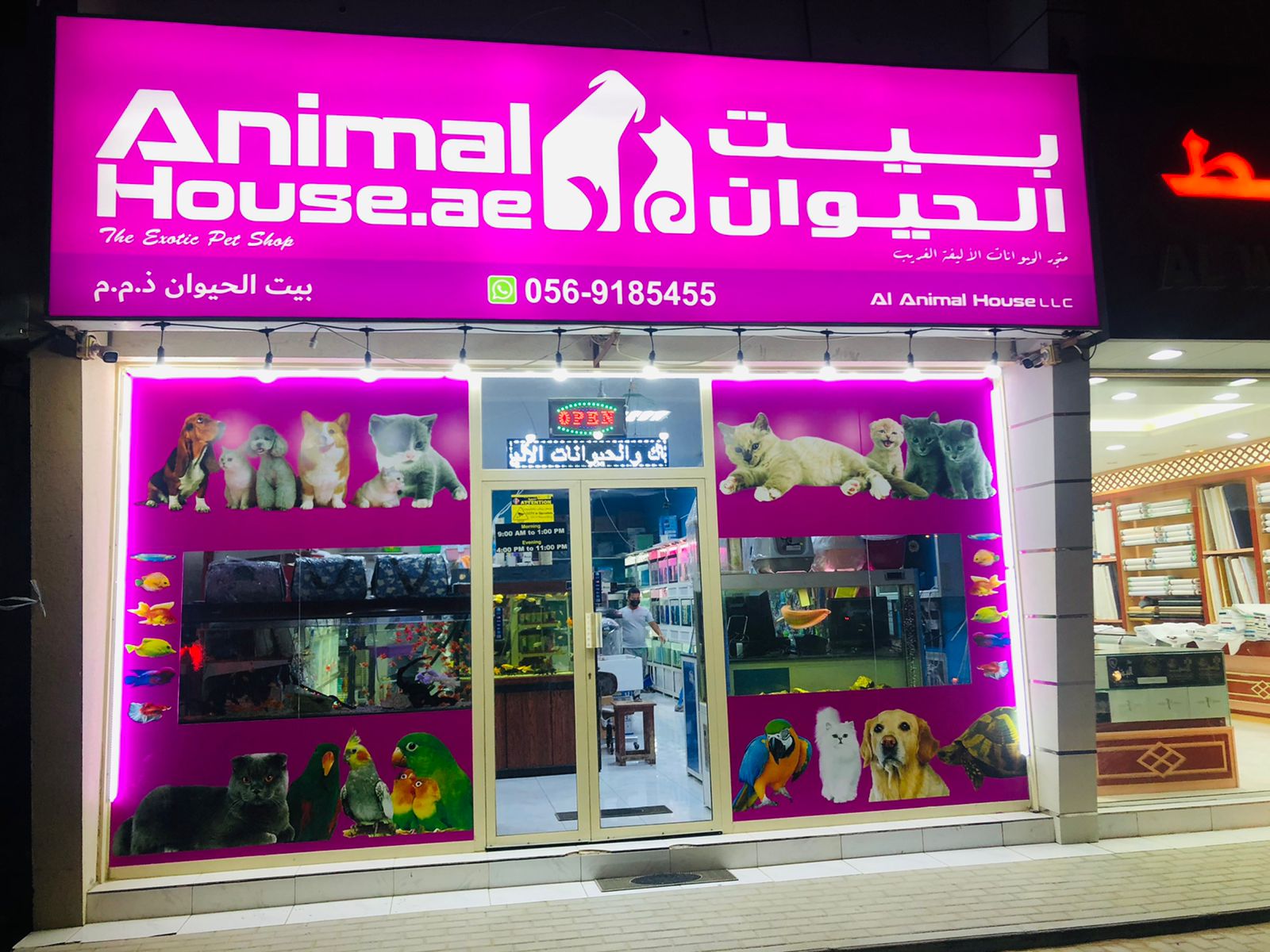 Quality Pets Shop - Ras Al Khaimah كوالتي لتجاره الحيوانات الاليفه - صورة 3