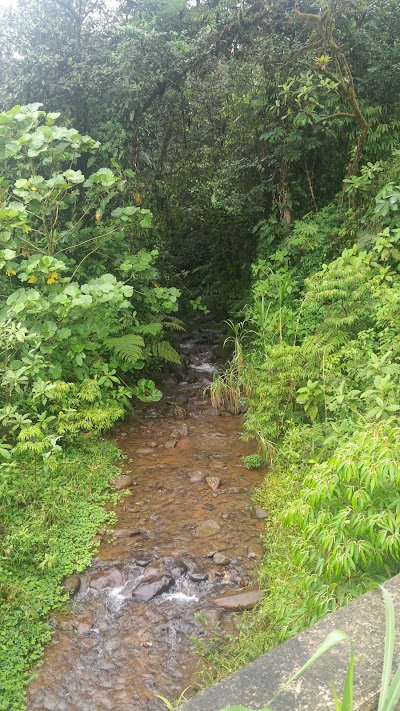 park