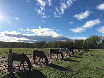 Photos of Hidden Creek Horse Farm, LLC