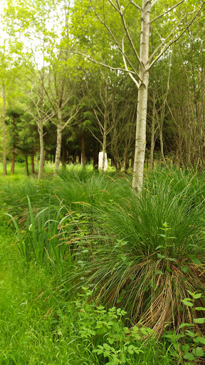 Menhir de Kerhuel - Thumbnail