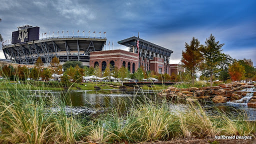 Aggie Park - Visual