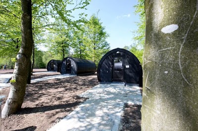 Photos of SportsPark Blaavandshuk, Oksb&oslash;l