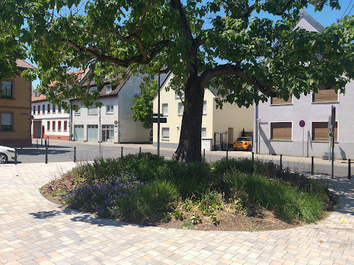 Bechererplatz