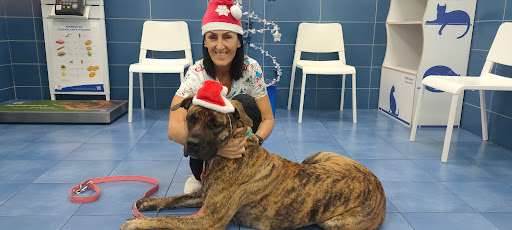Clinica Veterinaria La Cuesta - Thumbnail