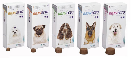 Hospital Veterinario Arboledas