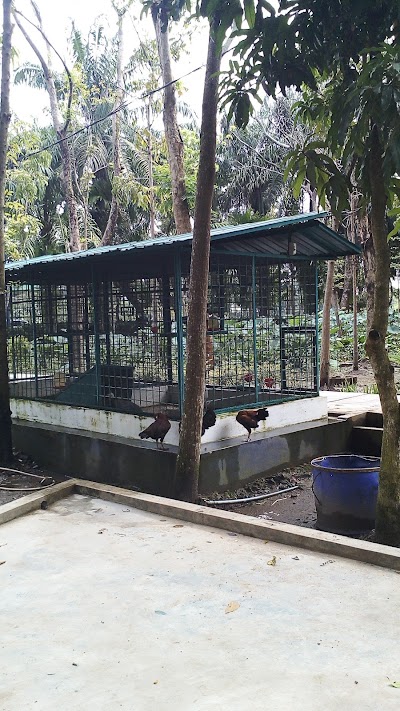 Photos of Hutan Universitas Medan Area