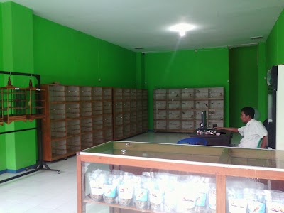 Photos of galeri kenari