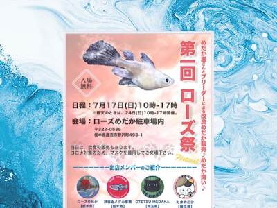 最高のコレクション めだ�� ブリーダー 304884-メダカ ���リーダー 垂水