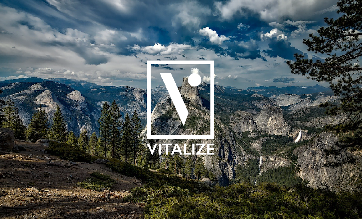 Vitalize Behavioral Health & Psychometrics Fig Garden