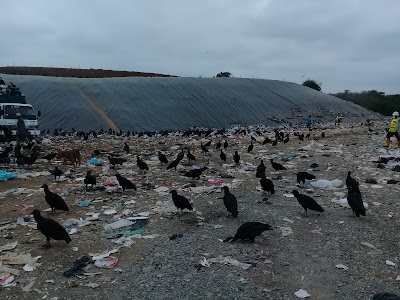 Photos of Botadero de Basura Municipal