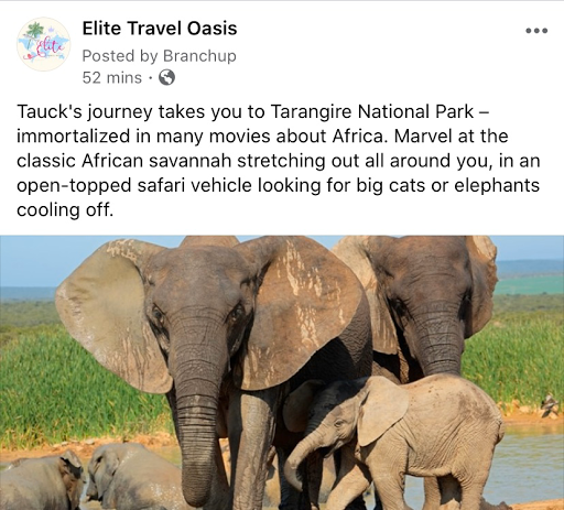 Elite Travel Oasis