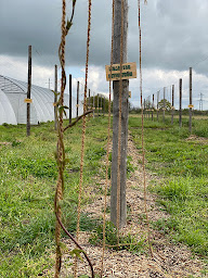Photo n°7 de Relais des Trois Écluses à Vieilles-Maisons-sur-Joudry (Restaurant)
