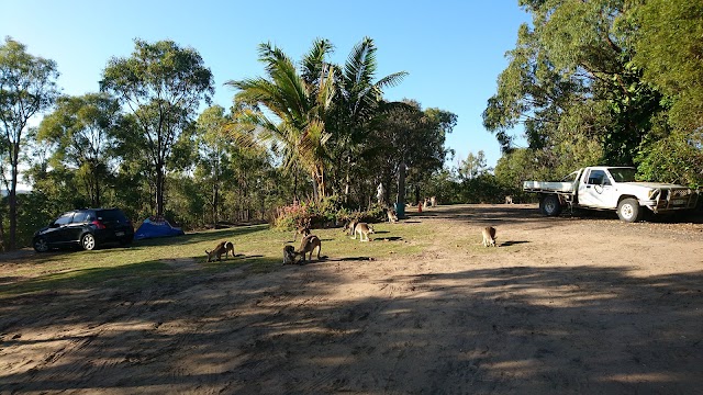 Horizons Kangaroo Sanctuary & Camp Ground