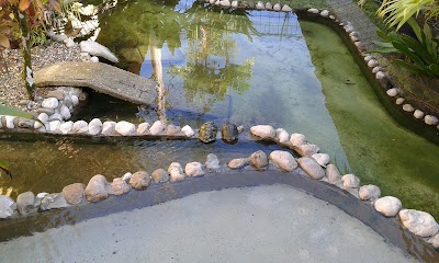 Photos of Hotel Sierra