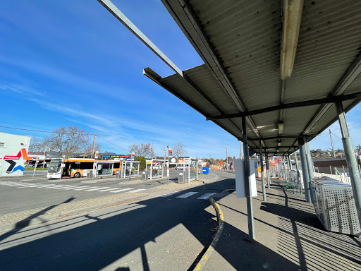 Lilydale - Thumbnail