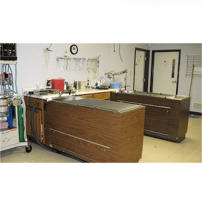 Photos of East State Veterinary Clinic