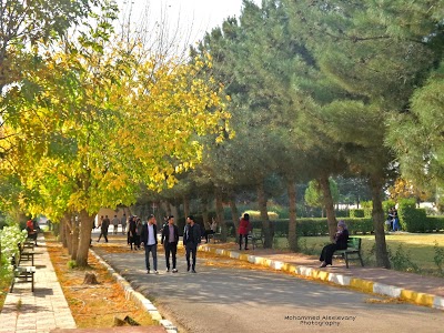 university