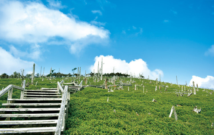 株式会社たびぱる