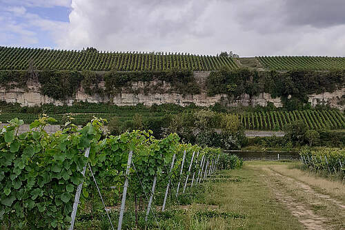 Weingut Zens - Thumbnail