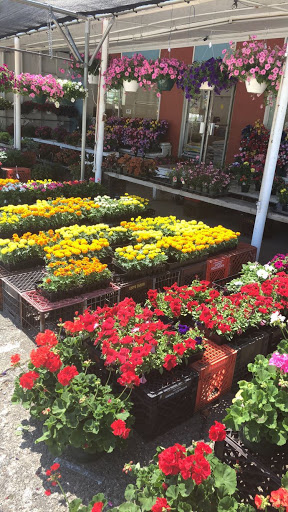 Deet's Flower Shop Logo