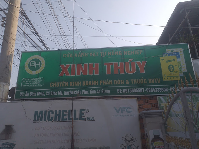 BVTV Xinh-Thúy