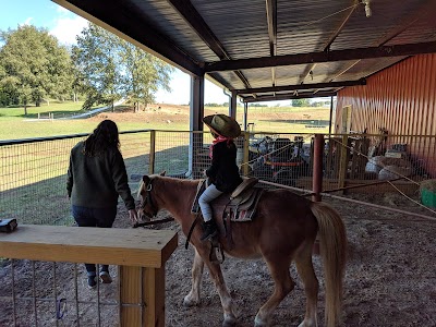 Rocking Dirt Road Farms