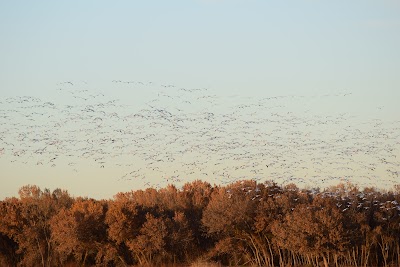 Bosque del Apache NWR Entrance Station