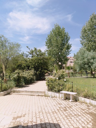 university