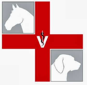 veterinary-care