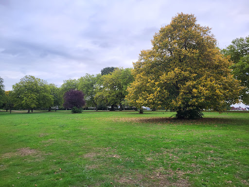 Chandos Recreation Ground Gallery - United Kingdom