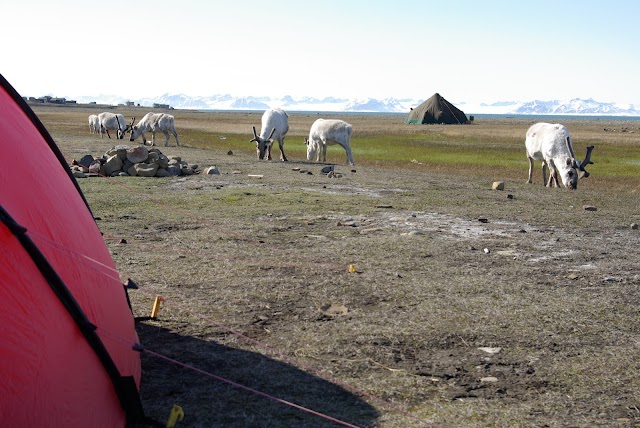 Longyearbyen Camping