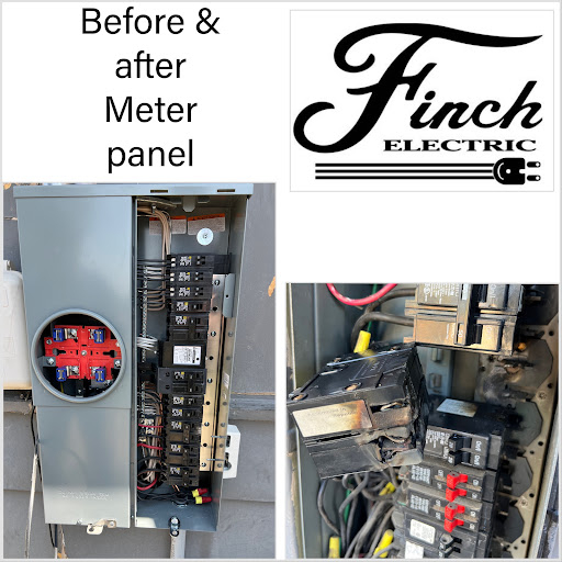 Finch Electric - Visual