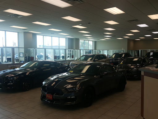 Riata Ford - Visual