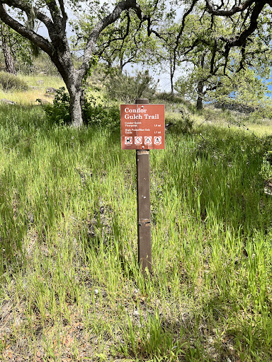 Bear Gulch Day Use Area - Thumbnail