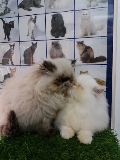 Photos of Su Veterinaria