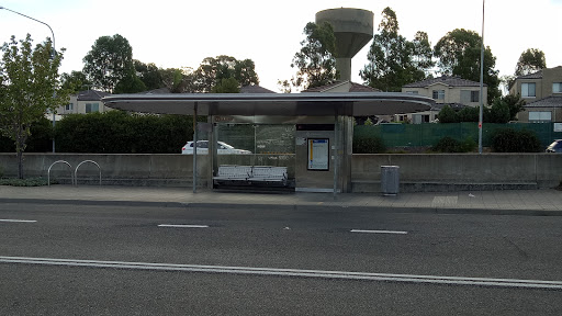 Wilson T-Way Gallery - Australia