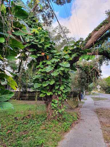 Mort Park - Thumbnail