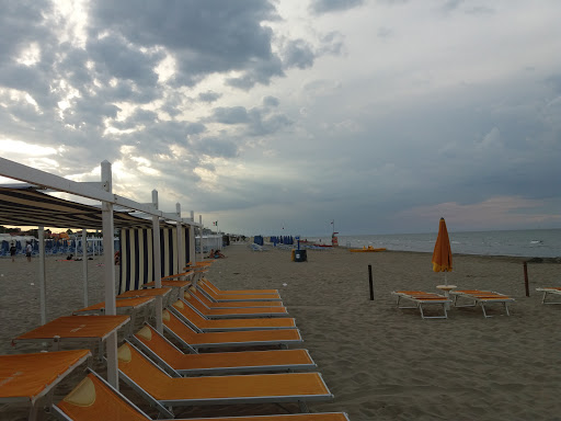 Beach Arena - Visual