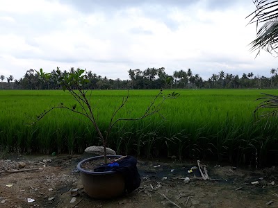Photos of Warung M joy