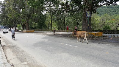 Photos of Basundhara Park