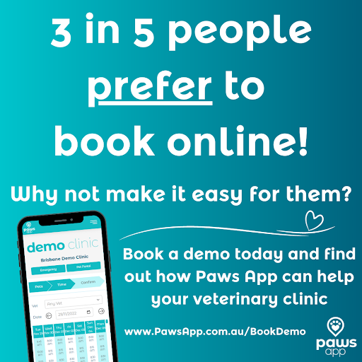 Paws App - Visual