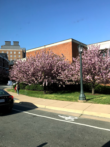 University of Virginia School of Medicine Gallery - United States