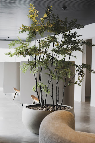 Comentarii opinii despre Ziezonder