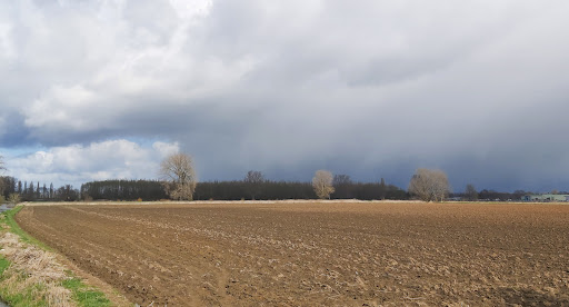 Ossermeer-Bos (Oude Osse zwembad) Gallery - Netherlands