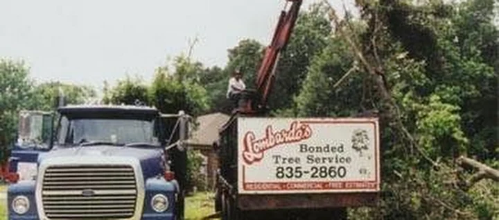 Lombardo's Bonded Tree Service, LLC