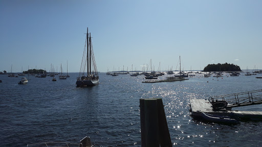 Harbor Dogs - Thumbnail