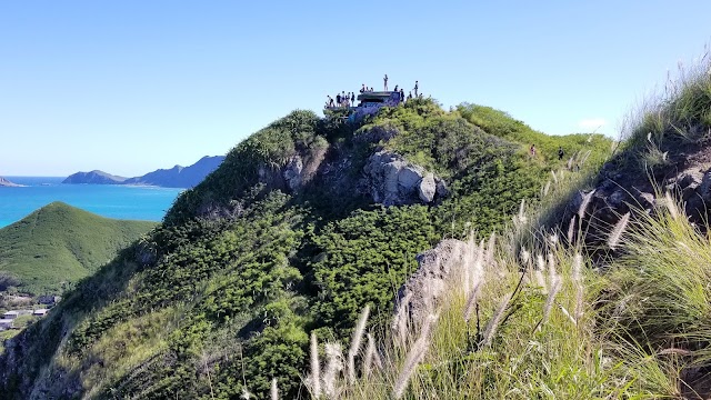 Pillbox Hike